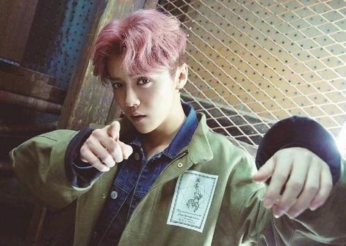 鹿晗爆料视频大全,揭秘明星幕后生活点滴  第1张