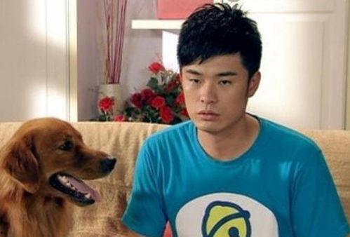 大狼狗夫妇爆料视频,揭秘娱乐圈背后的惊人真相  第1张